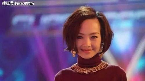 鲁豫爆料自己坎坷了吗视频,坎坷人生背后的坚韧与成长